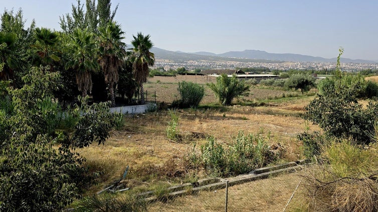 Huétor Vega saca a licitación el arrendamiento de 34 huertos sociales ecológicos