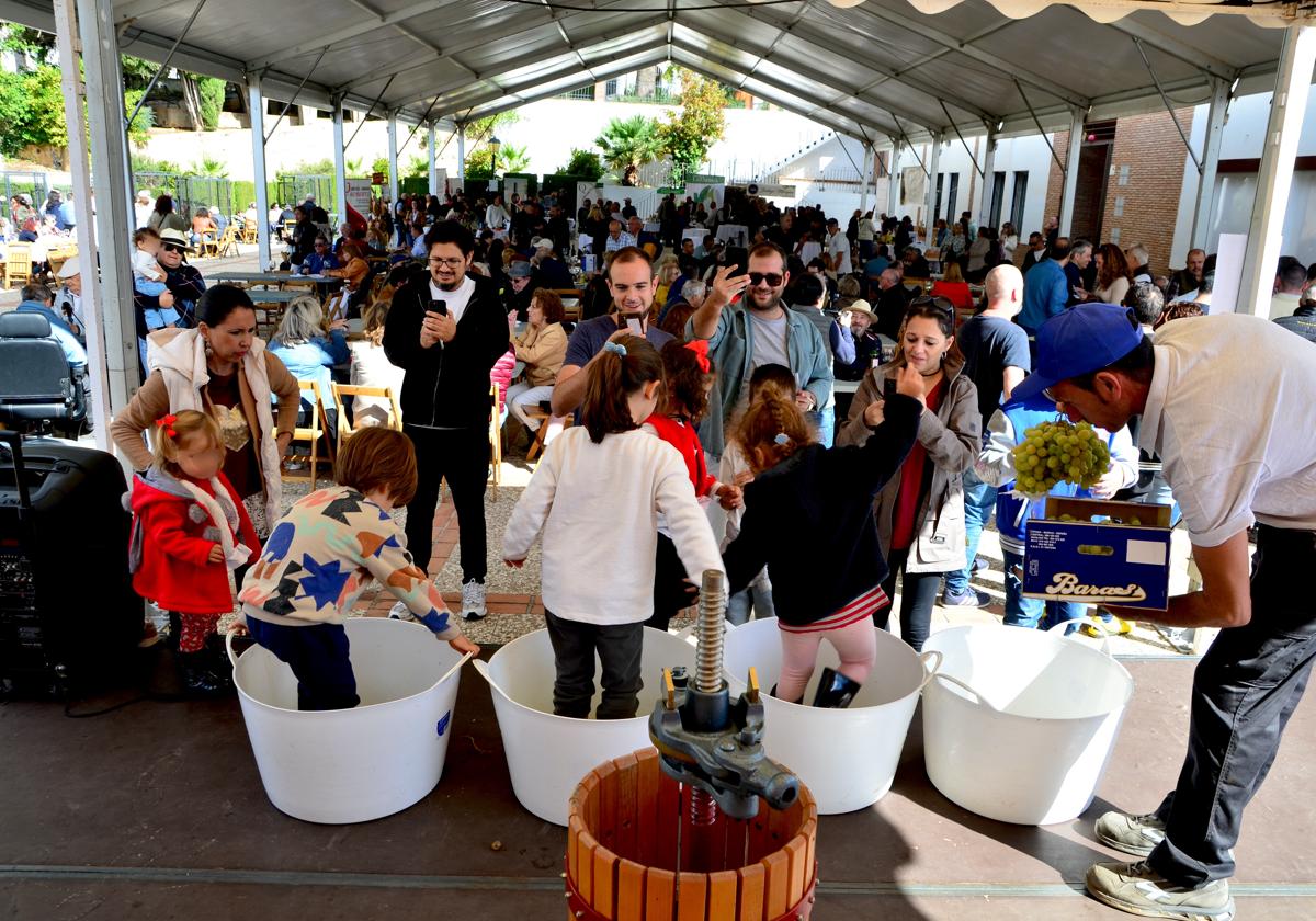 Pisado de uva en la Fiesta de la Vendimia de Huétor Vega.