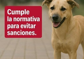 Cartel de la campaña.