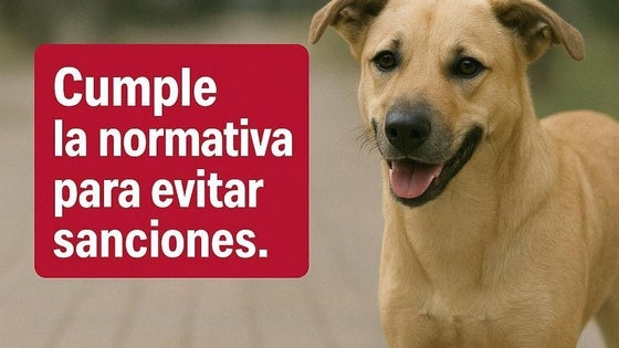 Huétor Vega refuerza la vigilancia sobre los dueños de mascotas