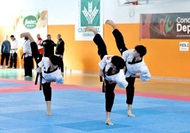 Exhibiciones en el Pabellón Municipal de Deportes La Libertad de Huétor Vega.