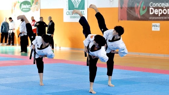 Huétor Vega vibra con el Open Andalucía de Taekwondo