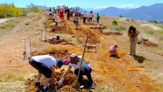 La primera jornada de reforestación: el domingo 5 de junio de 2016.