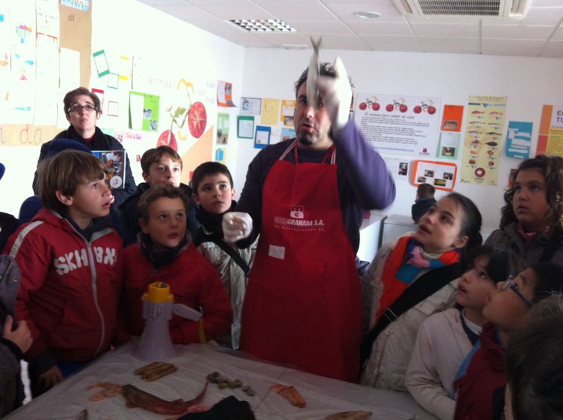 Visita de los colegios a Mercagranada