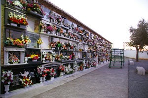 Día de Todos los Santos: autobuses gratuitos al cementerio