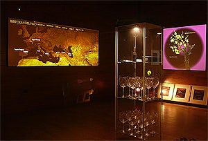 Visita guiada al museo del vino, en Huerta Cercada