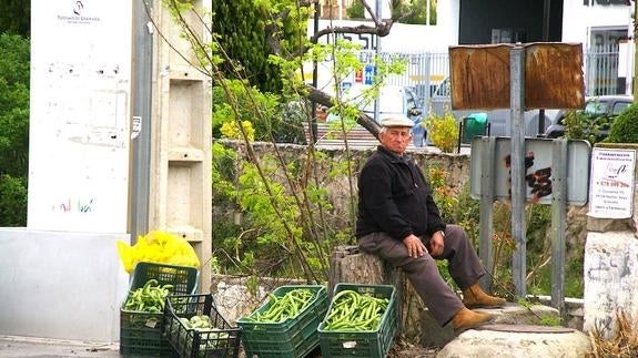 Venta de habas y alcachofas a pie de carretera, en la avenida de Andalucía.