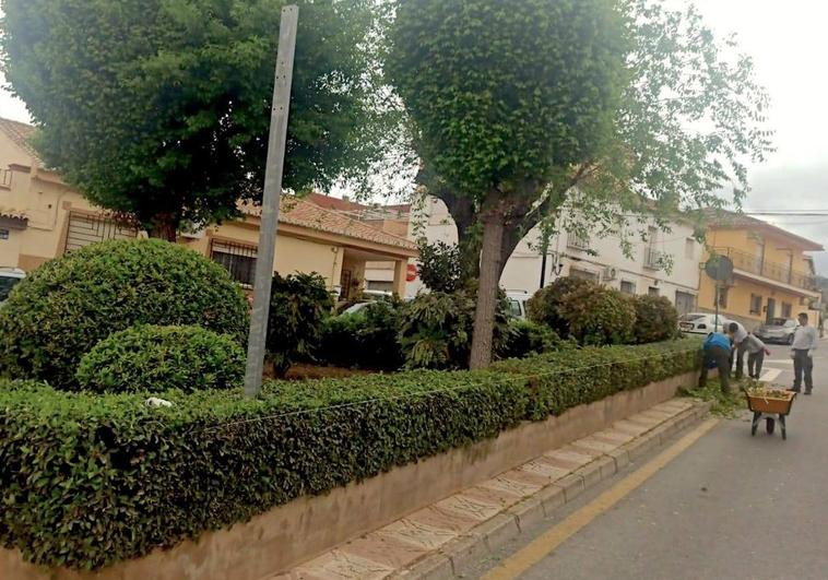 La Zubia formará como jardineros a vecinos en paro
