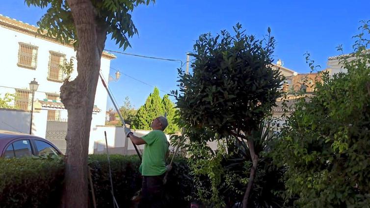 La alcaldesa de La Zubia anima al PP «a trabajar más y usar menos el Facebook»