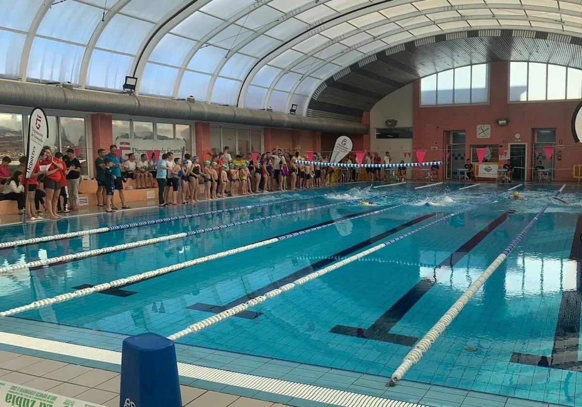 La piscina de La Zubia reunirá a más de trescientos nadadores de la provincia