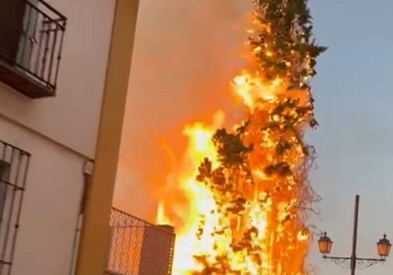 La Zubia pide ayuda para identificar a los autores de una oleada de incendios