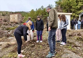 Repoblación de especies arbóreas y arbustivas autóctonas.