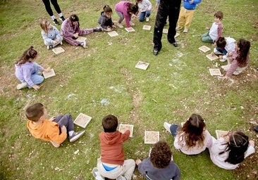 El proyecto, dentro del Programa Andaluz de Arte y Educación.