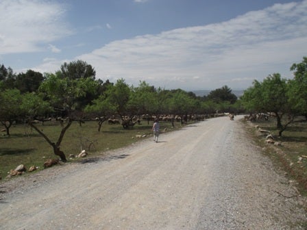 El Ayuntamiento contrata a 57 vecinos para obras en acequias y caminos