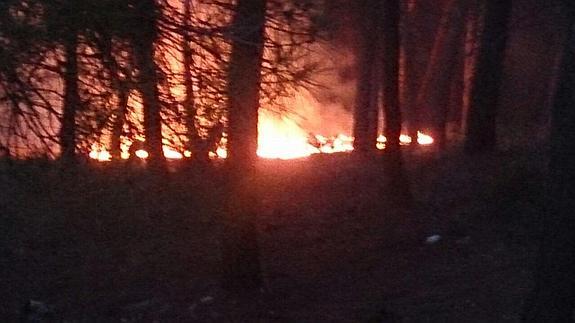 Controlado un fuego en los pinares de Cumbres Verdes