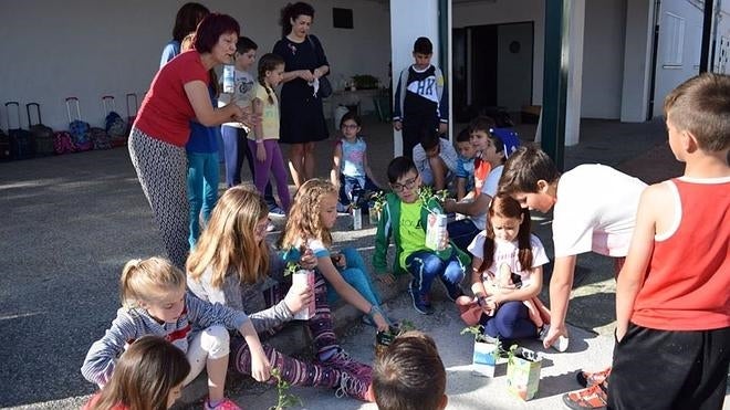 Talleres, plantaciones y ponencias para celebrar el día del Medio Ambiente