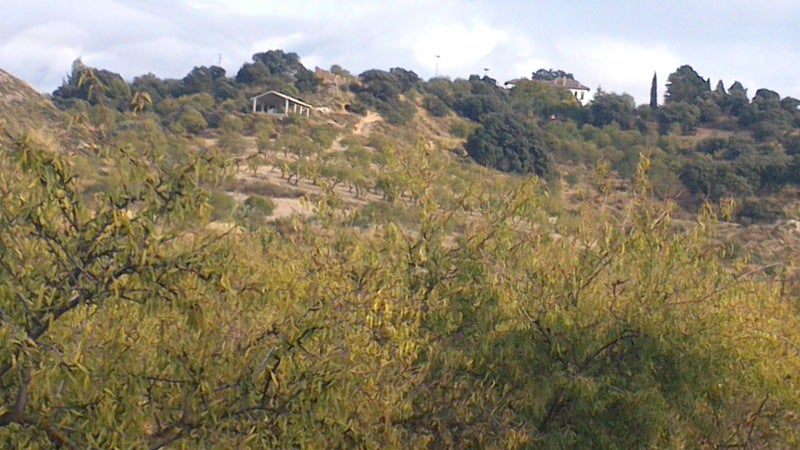 APZ denuncia la legalización del 'chalet' del ex alcalde popular