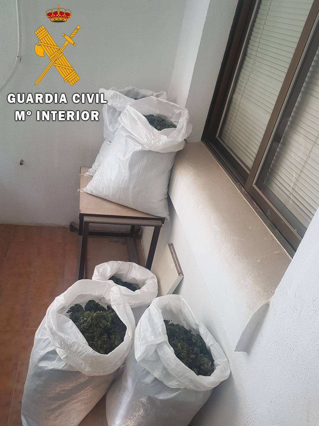 Imagen secundaria 2 - Operación policial. 