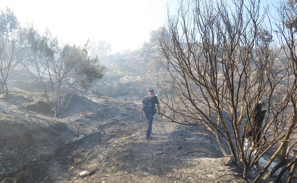 Incendio en Sierra Cabrera. 