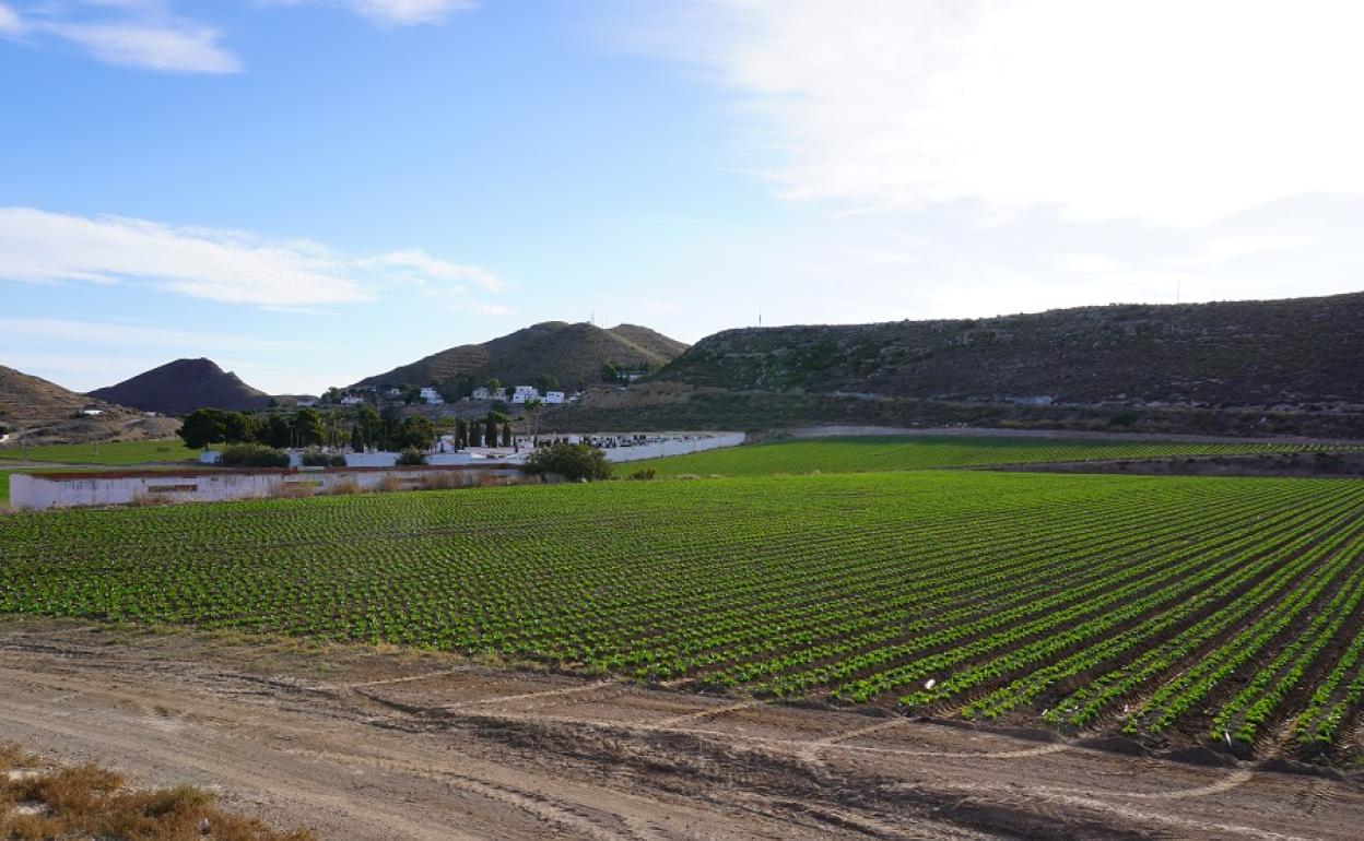 Parte de los terrenos para ampliación del cementerio de Carboneras. 