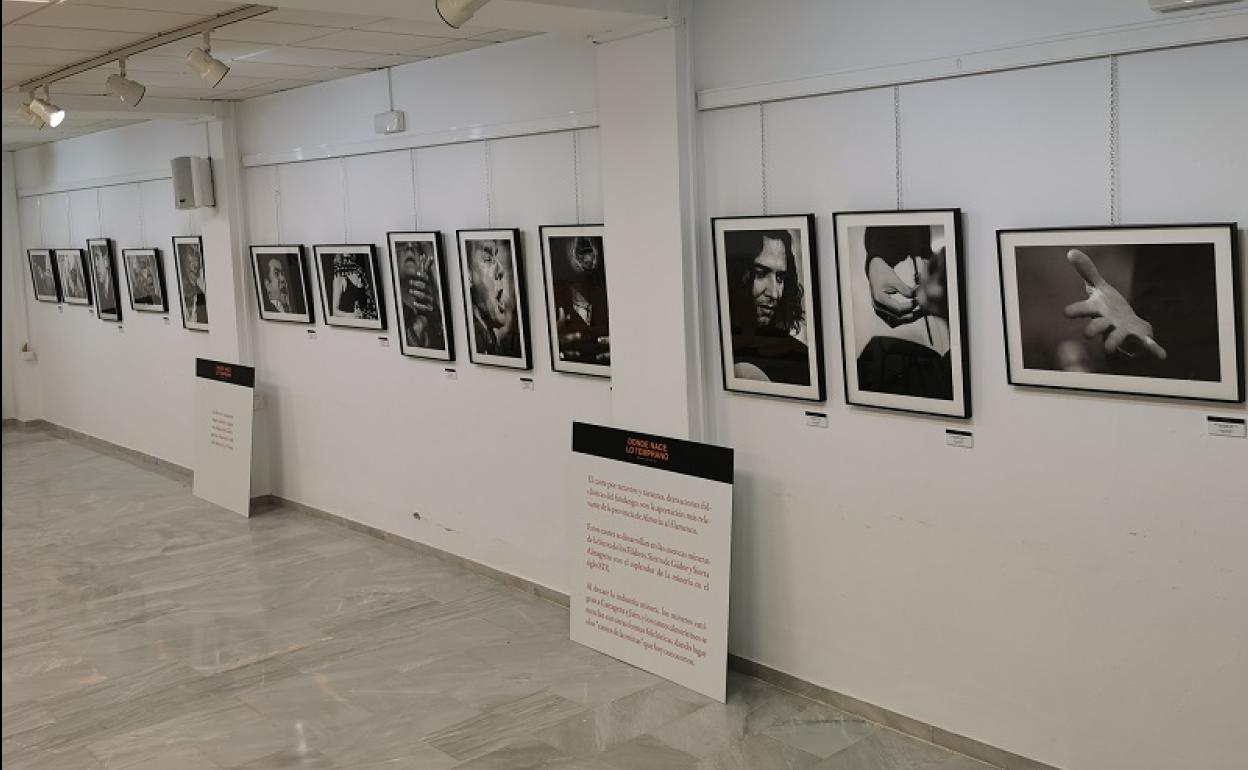 Últimos días para visitar la exposición «Donde Nace lo Temprano» en Vera