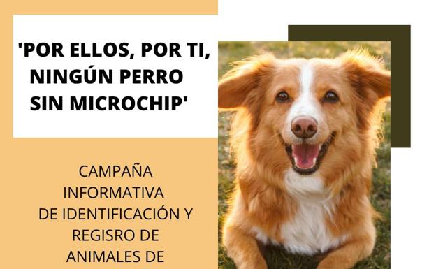 CUEVAS Animales | Cuevas lanza la campaña para poner el chip a las mascotas