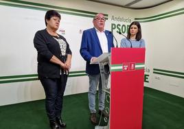 El PSOE exige al alcalde responsabilidades tras ser investigado por prevaricación