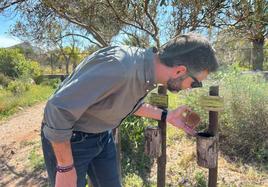 El Albardinal, el cofre de la flora protegida del Cabo de Gata