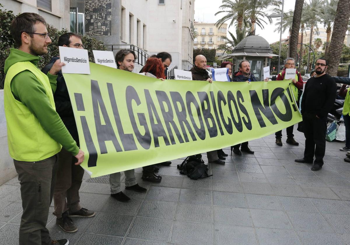 Ecologistas se alinean con Junta y piden a TSJA que anule acuerdos de Carboneras sobre Algarrobico