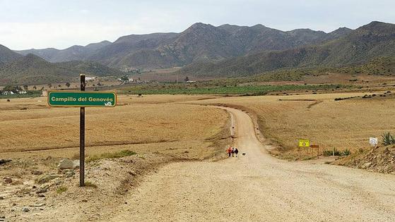 Pacma rechaza que se autorice un hotel en la playa de los Genoveses