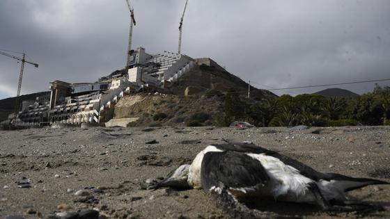 Pacheco lamenta la «oportunidad perdida» en Carboneras para «agilizar» la demolición del Algarrobico