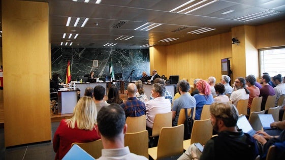 La Junta valora el «trabajo» de Greenpeace para poner en el «foco mediático» en El Algarrobico