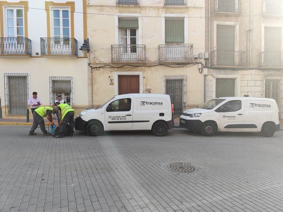 Cuevas del Almanzora realiza trabajos de prevención de plagas para evitar problemas y molestias a la ciudadanía