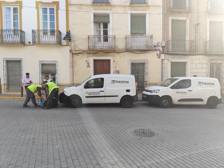 Cuevas del Almanzora realiza trabajos de prevención de plagas para evitar problemas y molestias a la ciudadanía
