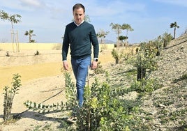 Vera pone en marcha un ambicioso plan de reforestación y repoblación vegetal urbana