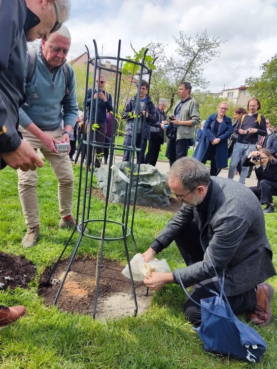 El investigador Unai Eguía deposita tierra de Antas al pie del recién plantado Árbol de la Memoria de Praga.