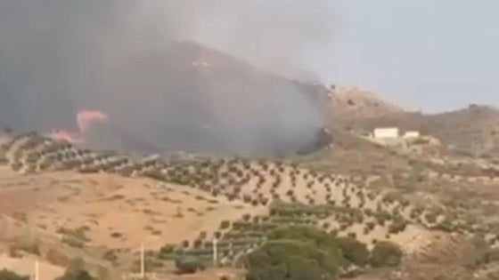 Incendio forestal en Lubrín, en una zona que ya ardió en julio