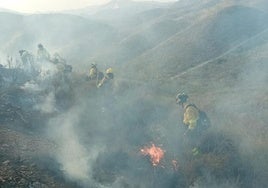 Extinguido el incendio en el paraje El Pocico, en Lubrín, municipio que ya registró un fuego en julio