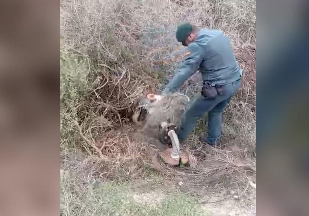 Extraen 9,5 millones de metros cúbicos de agua y causan un daño al ecosistema de más de 400 millones de euros