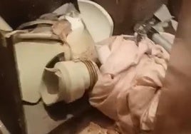 Detienen por destrozos en un apartahotel de Vera al acusado de amputar un dedo a un agente en agosto