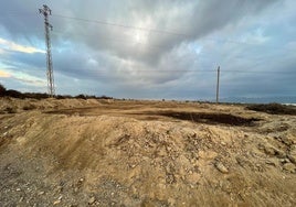 Movimiento Sumar Andalucía rechaza las macrogranjas en Huércal-Overa