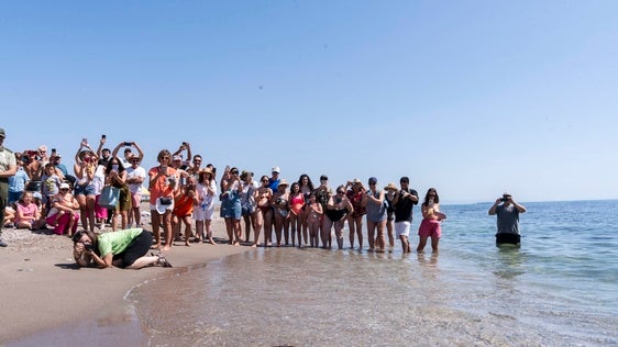 Almería, el santuario mediterráneo de la tortuga boba