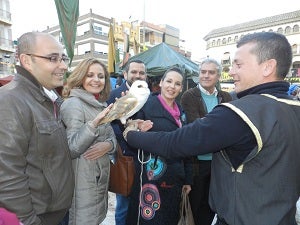 Miles de personas visitan el Mercado del Medievo huercalense