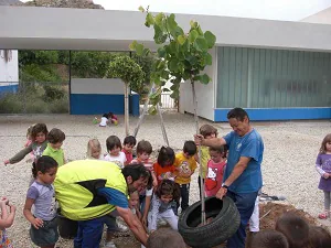 Plantación de árboles en el colegio de Mojácar