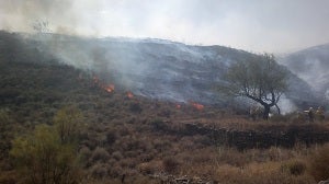El fuego arrasa 55 hectáreas de matorral y monte bajo en Lubrín