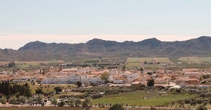 La mejora en las redes pluviales, la pasarela peatonal en El Convoy o infraestructuras deportivas, serán algunos de los proyectos de Planes Provinciales en Pulpí