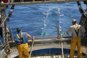 Concurso con ‘Sabor a Mar’ para promocionar el mundo de la pesca