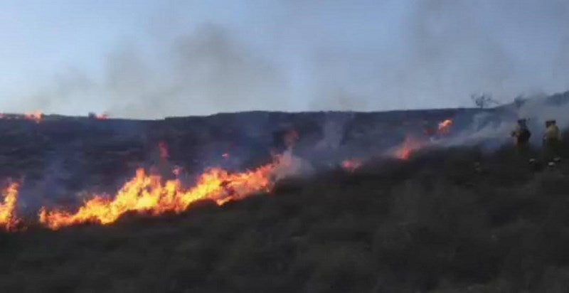 Incendio forestal en un paraje de Carboneras
