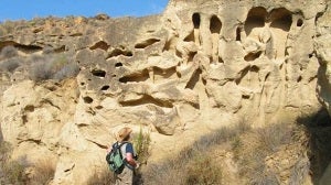 Cuevas, un último ‘paraíso tropical’ hace millones de años, guarda los secretos de un ecosistema único en el mundo