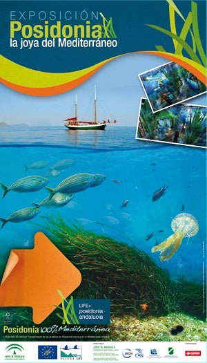Carboneras recibe la exposición    “Posidonia 100% Mediterránea”